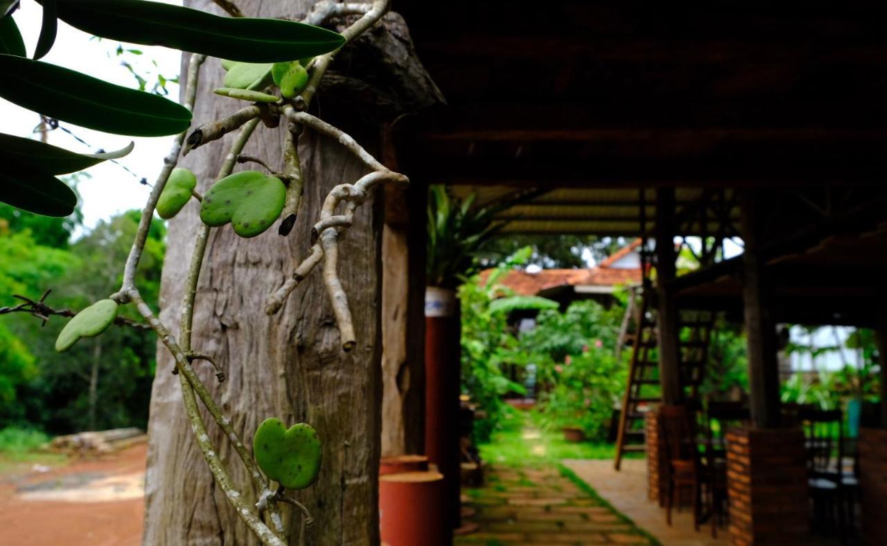 Plei Homestay&Café Pleiku Exterior foto