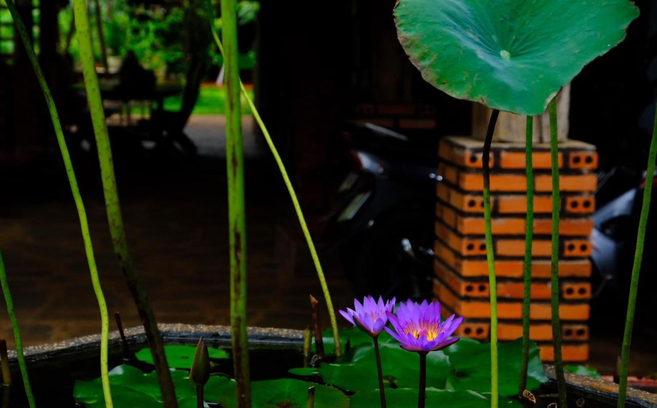 Plei Homestay&Café Pleiku Exterior foto